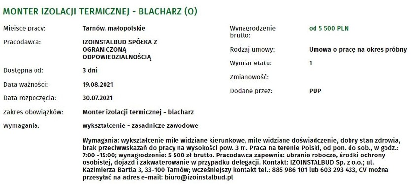 Najatrakcyjniejsze oferty pracy z PUP w Tarnowie. Niektórzy pracodawcy oferują 8 tysięcy złotych miesięcznie [OFERTY PRACY SIERPIEŃ 2021]]