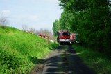 Głogów: Strażacy wypompowywali wodę w gminie Pęcław