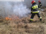 Sucho w lasach. Strażacy z Poddębic trzykrotnie wyjeżdżali do pożaru poszycia leśnego