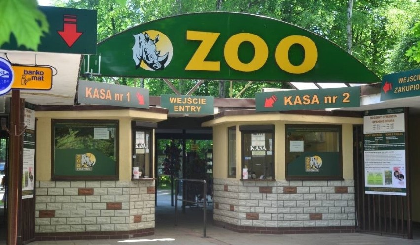 Ogród zoologiczny, jedna z największych atrakcji Poznania,...