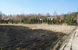 Pożar trawy w Kosewie