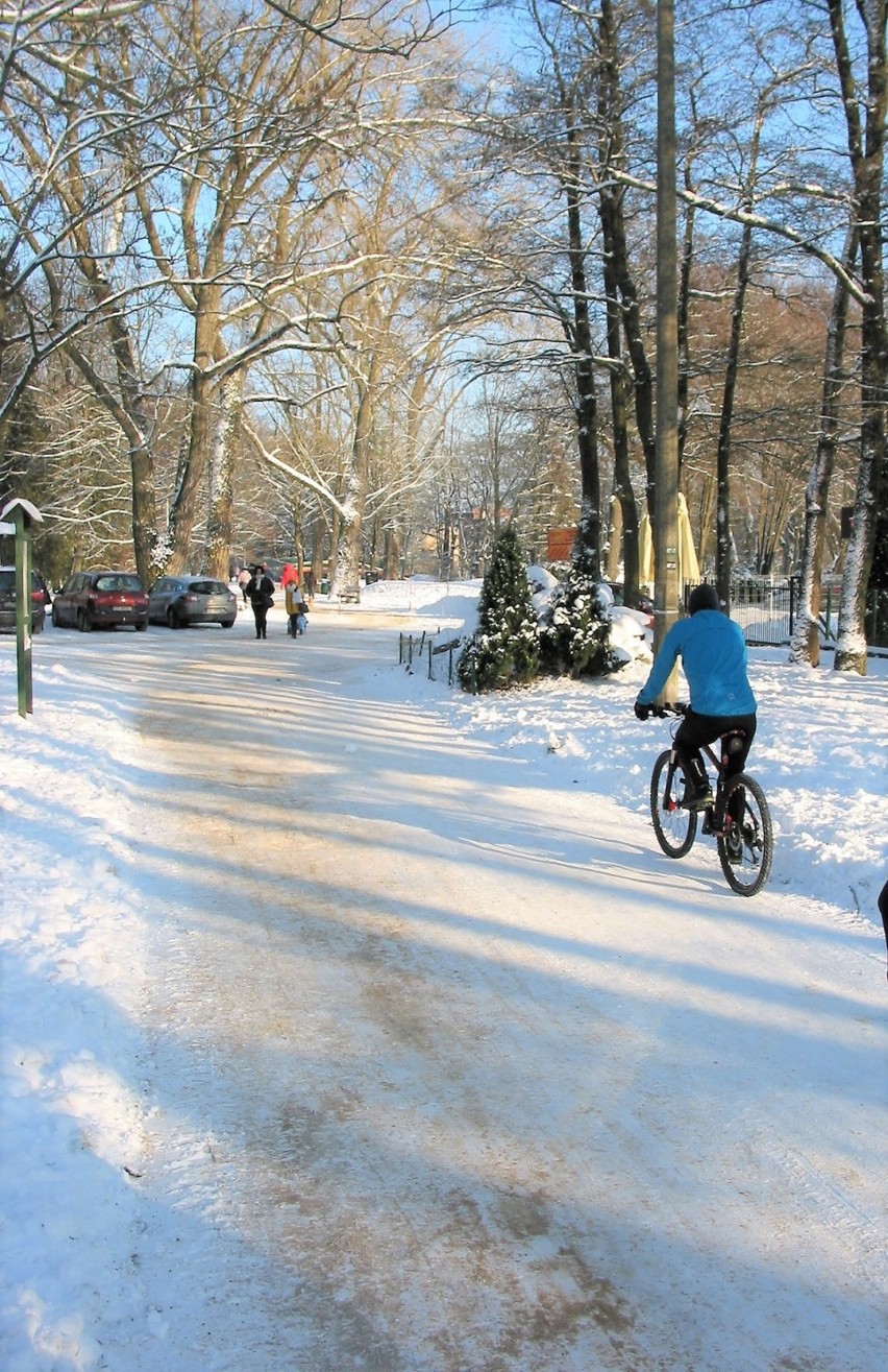 Zimowo na trasach pieszo – rowerowych w Parku Kultury i...