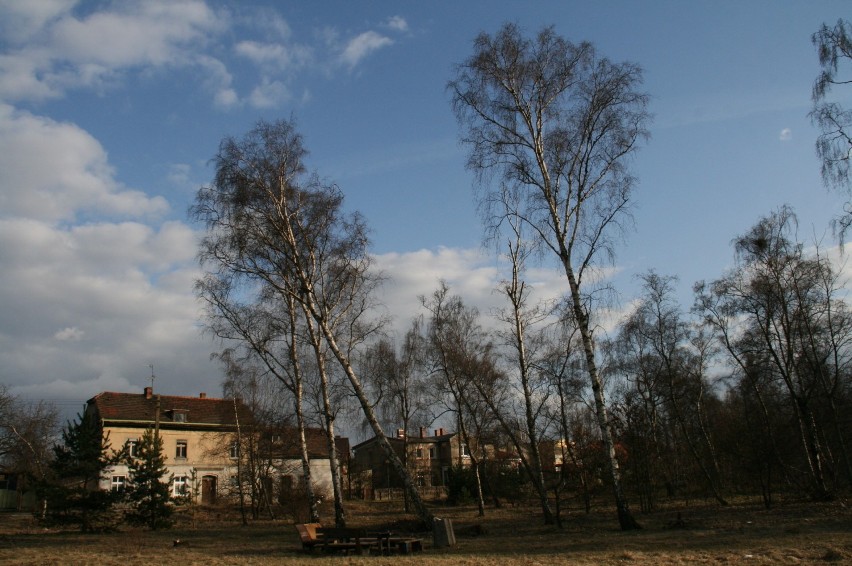 Marzec 2011: Martwią się mieszkańcy ul. Ludowej, że w miejscu ich odpoczynku ma być postawiony budynek mieszkalny.
