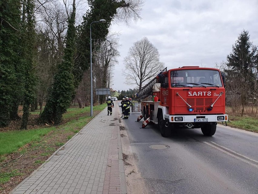 SŁAWA. Drzewo zagrażało bezpieczeństwu pieszych i zmotoryzowanych [ZDJĘCIA]