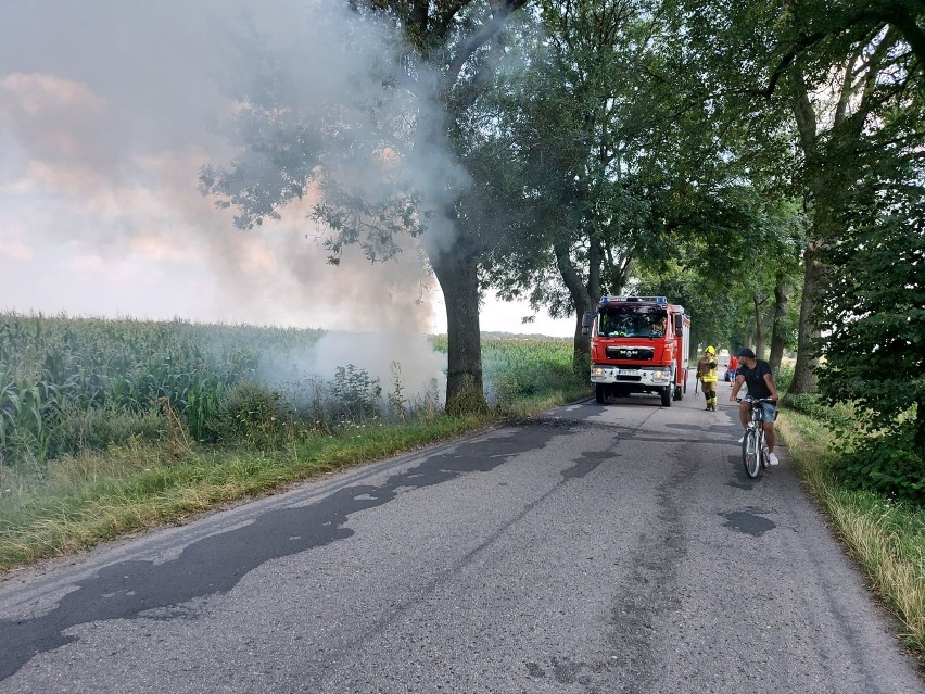 Witkowo: Upały sprzyjają pożarom, OSP Witkowo wezwane na dwie akcje  - Malenin i Kamionka [GALERIA]