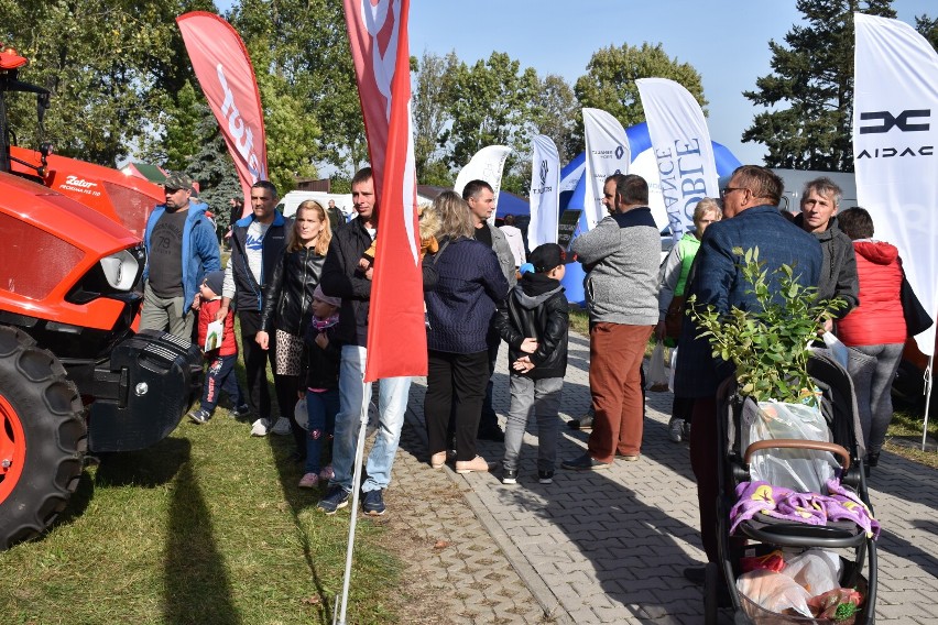 Jesienne Targi Rolno-Ogrodnicze w Marszewie przyciągnęły tłumy zwiedzających