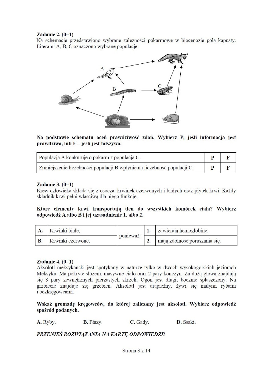 Egzamin gimnazjalny 2013. Test z matematyki i przyrody [ARKUSZE, PYTANIA, ODPOWIEDZI]