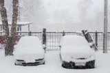 Cały Wrocław w śniegu! Ile jeszcze spadnie białego puchu? Szykują się kolejne mrozy...