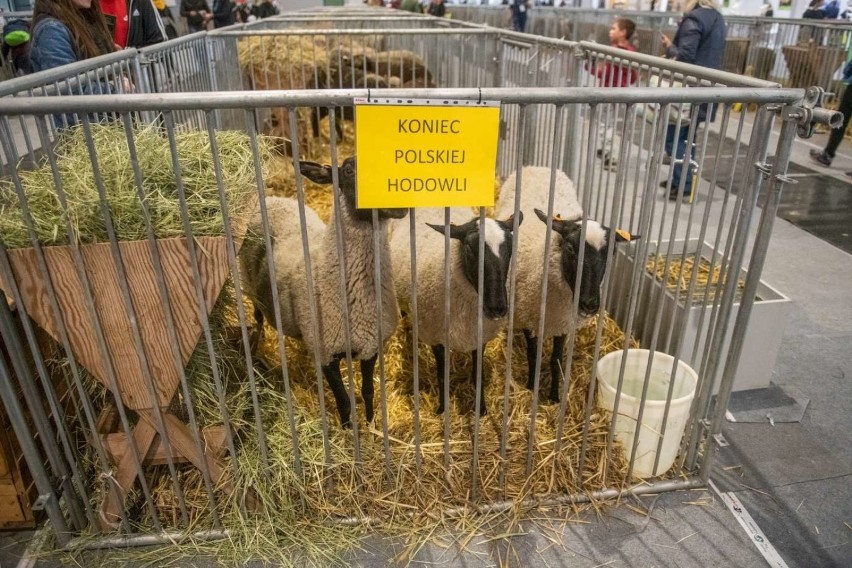 "Ardanowski - dość beztroski!", "Nie cofajcie nas do PRL-u",...