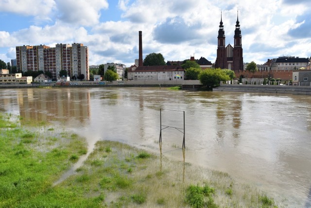 Poziom Odry i Kanału Ulgi w Opolu nadal wzrasta. Woda wylewa się z koryta i podchodzi do wałów. Na zdjęciu: zalana przystań na Zaodrzu.