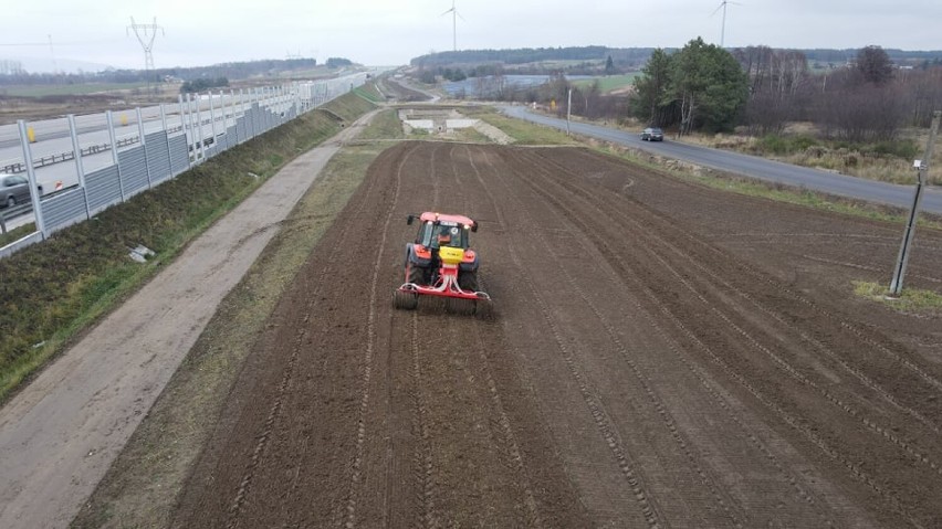 Przy autostradzie A1 w okolicach Radomska powstaje łąka kwietna. To największy łąkowy projekt w Polsce ROZMOWA