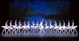 Royal Russian Ballet w Ostrowcu Świętokrzyskim