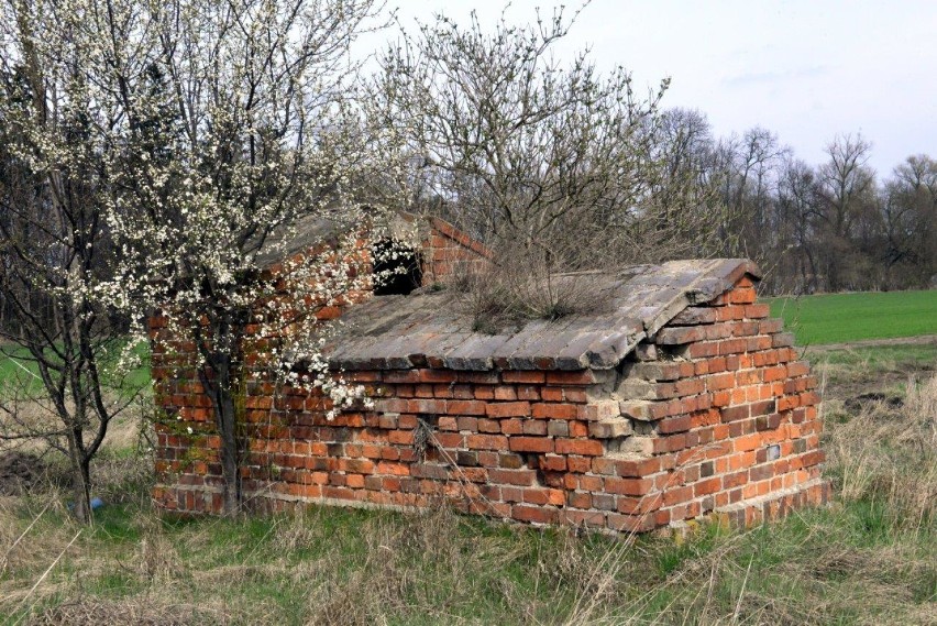 Piece chlebowe w kościańskim. Do naszych czasów w powiecie...