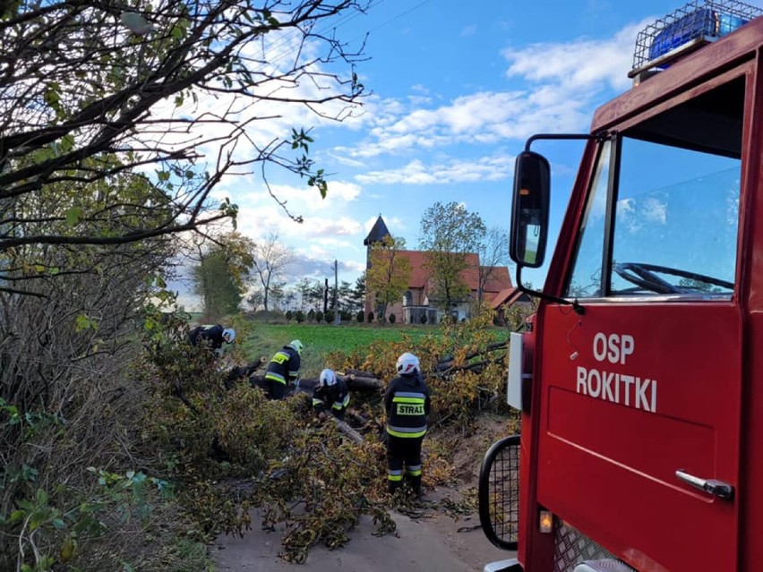 Straż Pożarna w Legnicy podsumowuje interwencje w powiecie legnickim podczas wichury 21-22 października
