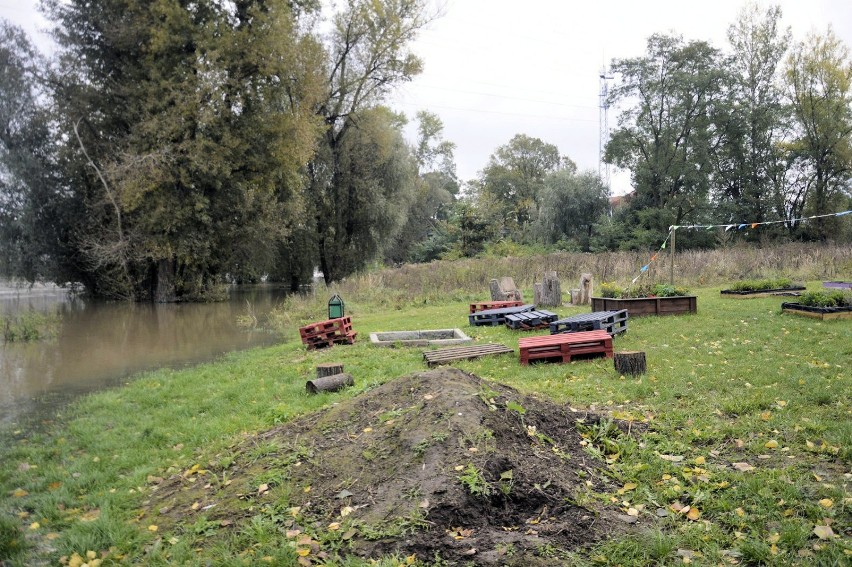 Odra i Czarna - poniedziałek, 19 października