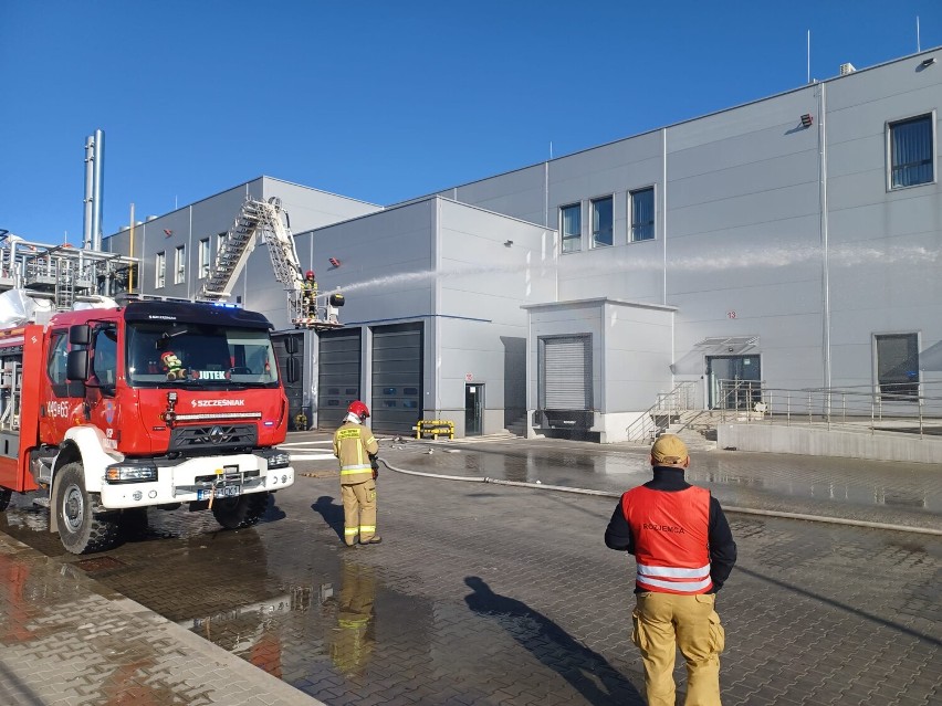 Ćwiczenia przeciwpożarowe w zakładzie Animex w Korytach. Na...