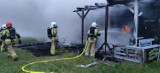 Pożar w Chałupach: spłonął drewniany bar. Pięć zastępów straży pożarnej w akcji | NADMORSKA KRONIKA POLICYJNA