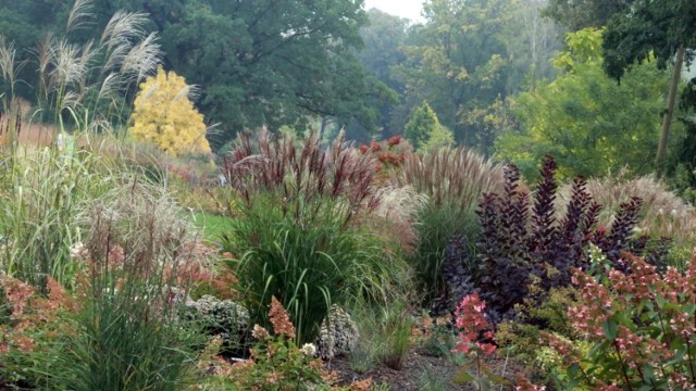 Arboretum Wojsławice