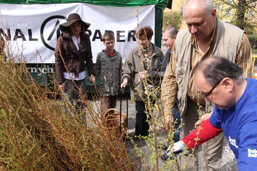 Rusza akcja ekologiczna Dziennika Bałtyckiego: Drzewko za makulaturę