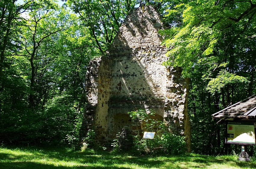 Zamek w Rokitnicy