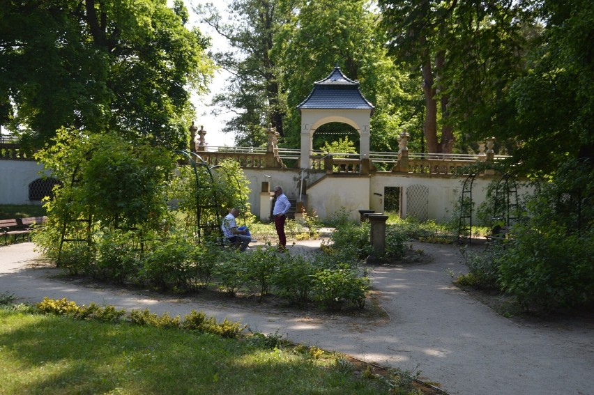 Cudowny park został zrewitalizowany. Pałac jest siedzibą...