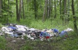 Nielegalny wywóz śmieci i gruzu – Kary za nielegalny wywóz śmieci