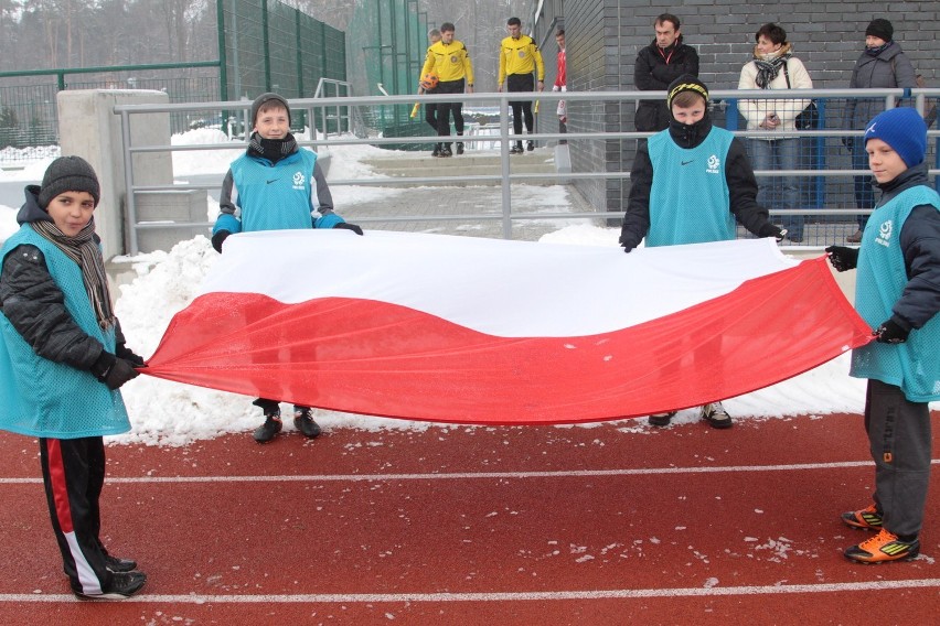 Puławy: Polska wygrywa z Gruzją 3:1 (zdjęcia)