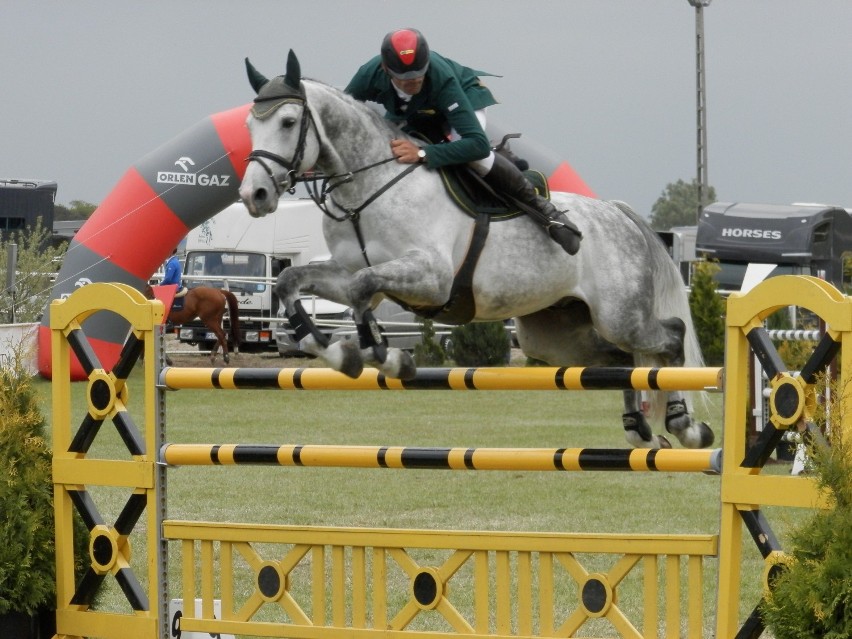 Zawody jeździeckie 10.05.2014 w Olszy