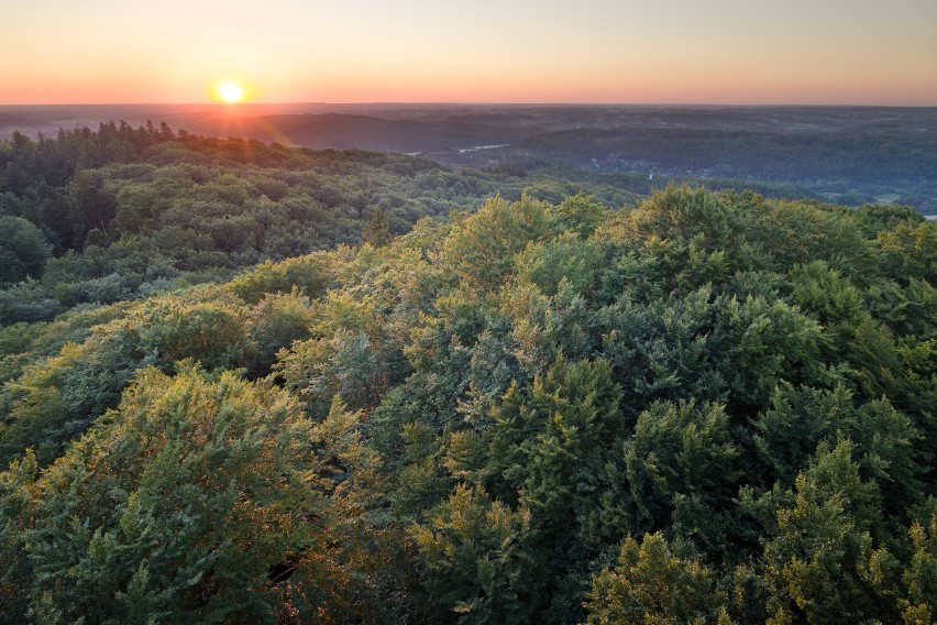 Kalendarz 2019 Dziennika Bałtyckiego. Wielka galeria zdjęć od Czytelników. Zdjęcia z powiatu kartuskiego. Część 2 