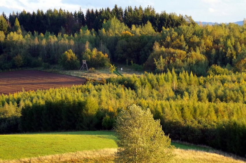 Przepiękne krajobrazy w okolicy Legnicy - nasz pomysł na wycieczkę [ZDJĘCIA]