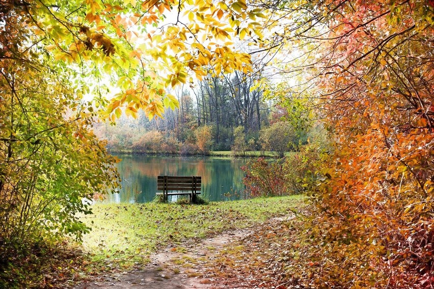 10 pomysłów na pochmurny jesienny weekend w Ostrowie Wielkopolskim.