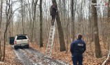 Dąbrowscy policjanci i strażnicy leśni w akcji 