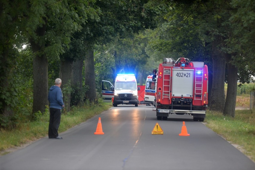 Samochód marki Infiniti uderzył w drzewo. Wypadek w...