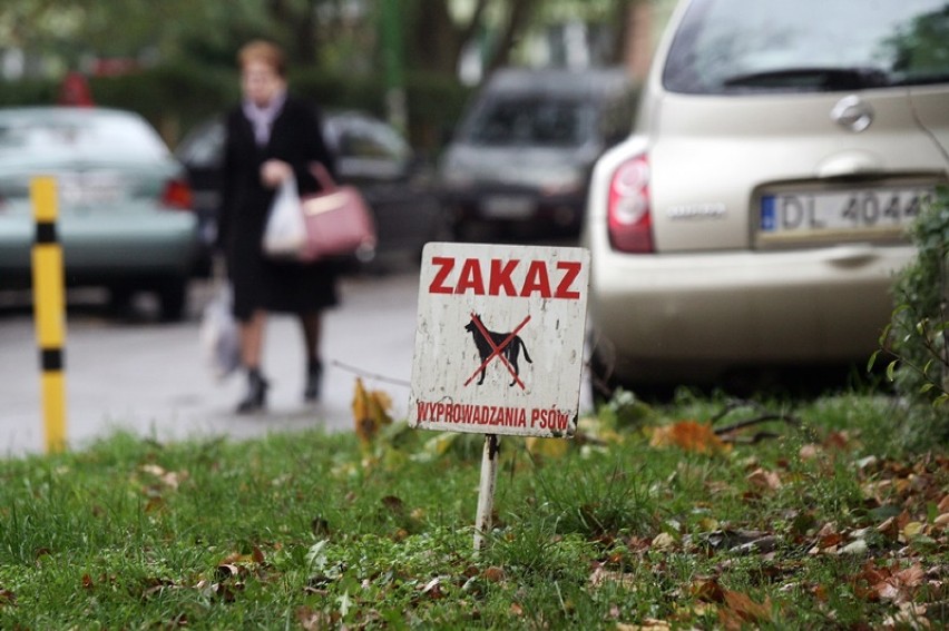 Zakaz wyprowadzania psów w Legnicy