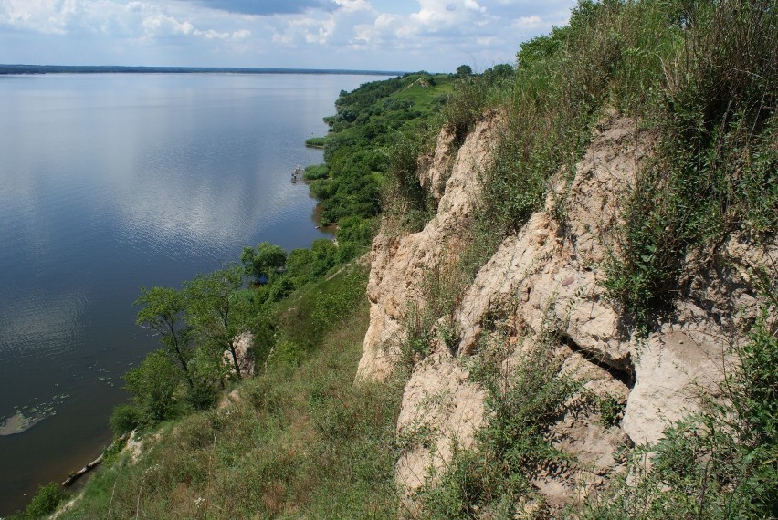 Urwiska w pobliżu Dobrzynia nad Wisłą są wysokie na...