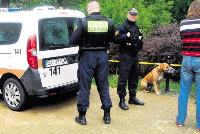 Na Kilińskiego amstaff pogryzł kundelka