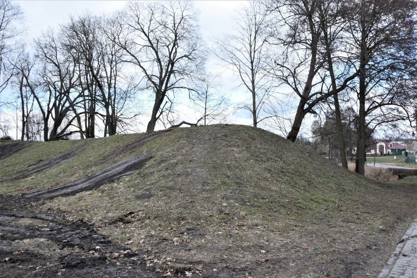 Zbąszyń. Park miejski z grabowymi alejkami, pachnie wiosną - 17 marca 2021 [Zdjęcia]