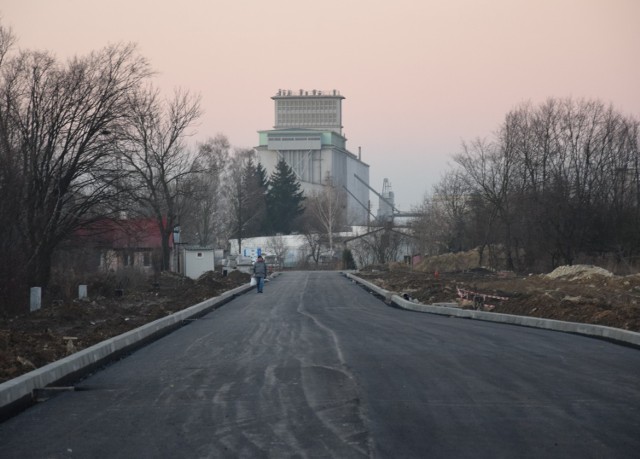 Zamość: dawny cmentarz, nowa droga i tajemnicze kości. Do kogo należą szczątki?