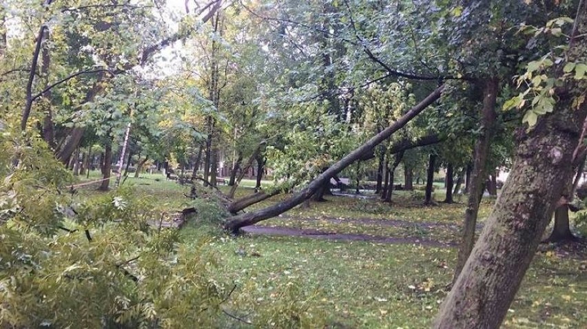 Orkan Ksawery w Chorzowie