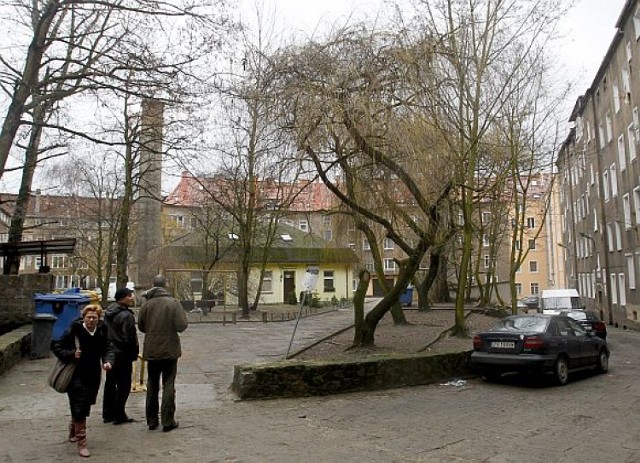 Powodem wycinki jest ich zły stan zdrowotny. Mieszkańcy mają ...