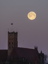 Malbork. Zachód Księżyca nad zamkiem. Zobacz niesamowity film poklatkowy ukazujący przejście pomiędzy nocą i dniem
