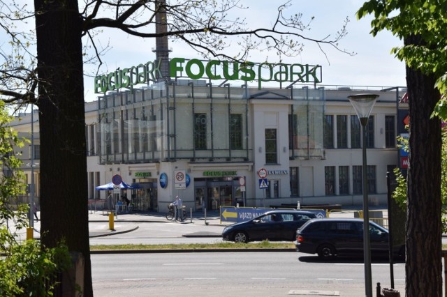 W galerii handlowej Focus Mall w Zielonej Górze pojawiły się koty i psy z zielonogórskiego schroniska