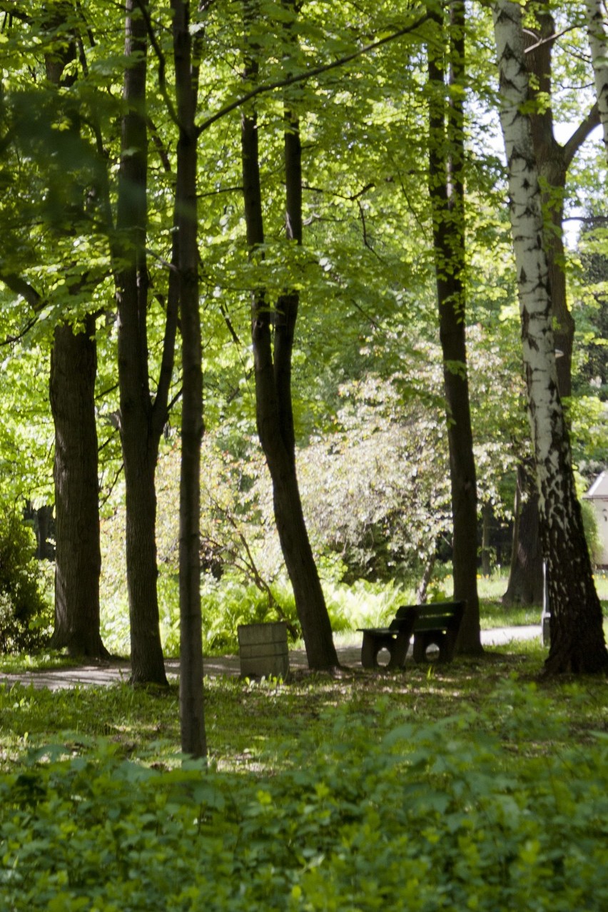 Park zdrojowy w Goczałkowicach otrzyma dotację na remont