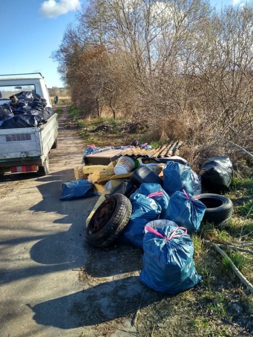 Wiosenne porządki w Gminie Kosakowo. W Dębogórzu Wybudowaniu skrzyknęli się sąsiedzi i ruszyli w plener. Znaleźli m.in. kanapę | ZDJĘCIA