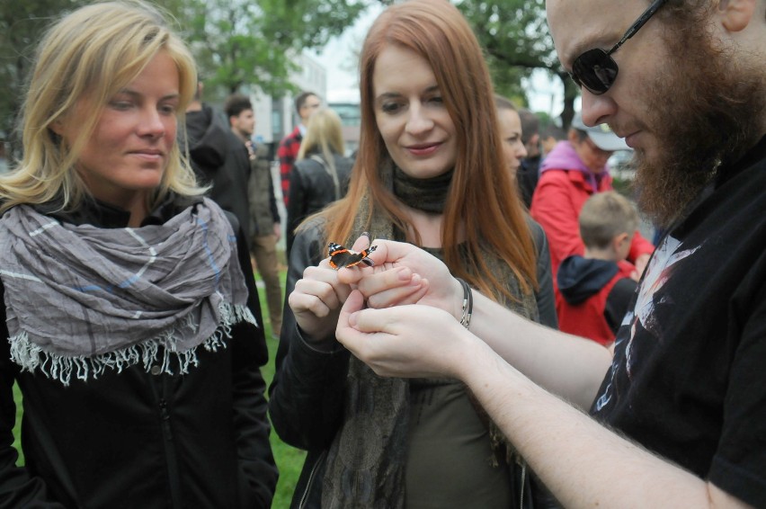 Nowy park w Krakowie. Ogród Motyli na rogu Dekerta