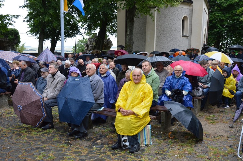 Pielgrzymka mężczyzn i młodzieńców na Górę św. Anny