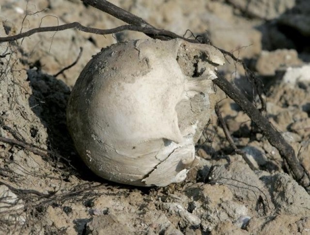 Lipia Góra: Koło placu zabaw znaleziono ludzkie kości? (zdjęcie ilustracyjne)