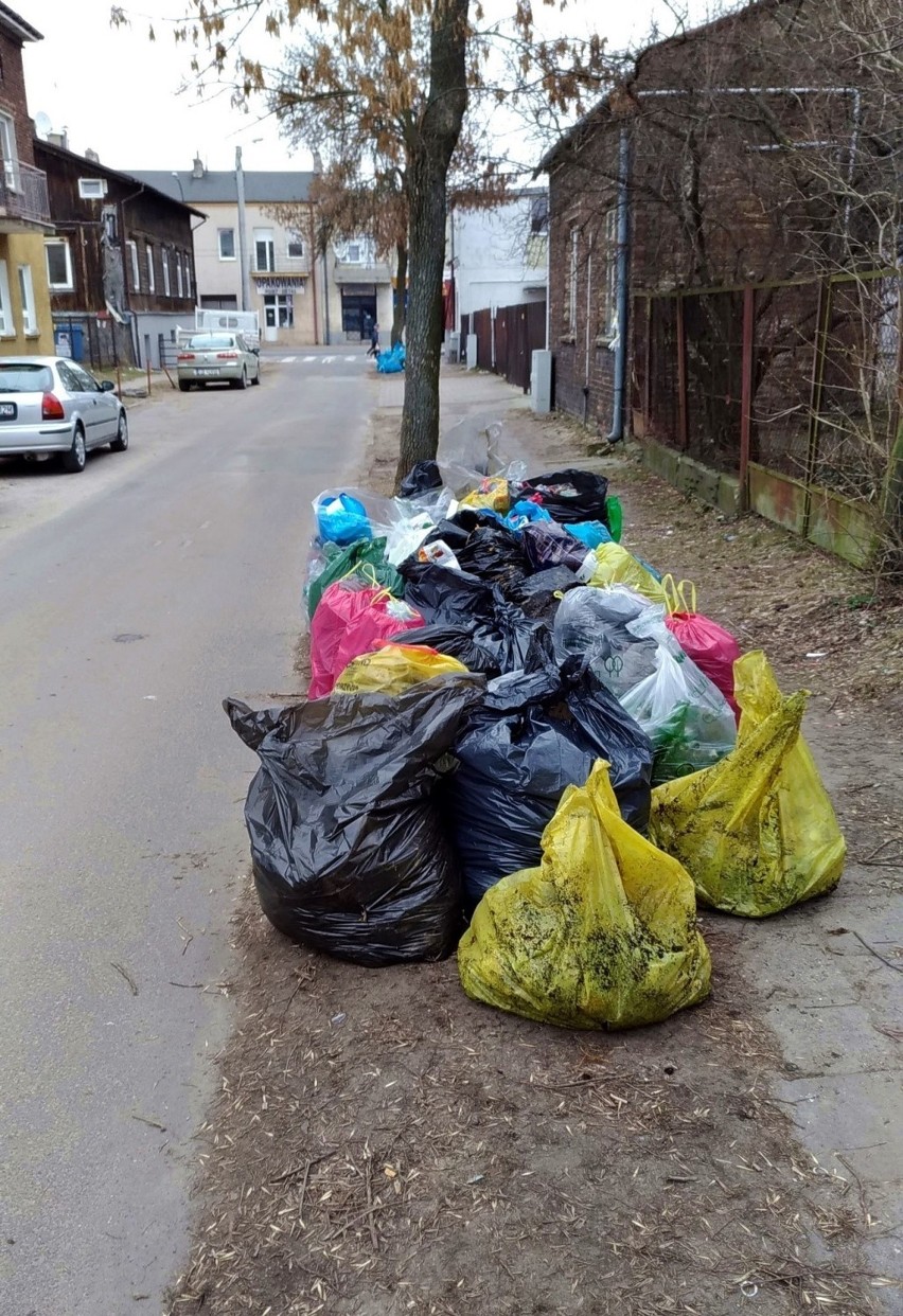 Lublin. Rowerzyści posprzątają leśne szlaki rowerowe za Zalewem Zemborzyckim