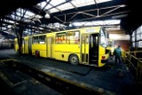 Katowice: Ikarusy rządzą. Pozostałe autobusy to często graty na kołach. Co na to KZK GOP?