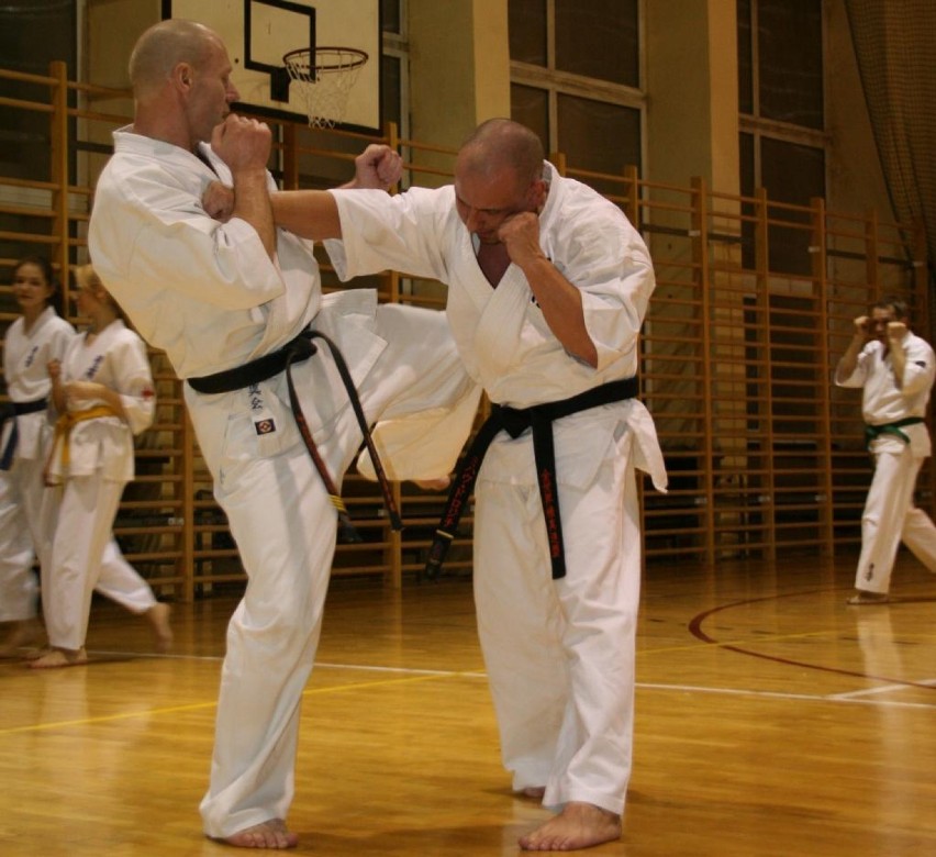 Żory: Seminarium karate już w sobotę. Co w programie?